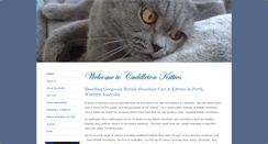 Desktop Screenshot of cuddleton.com