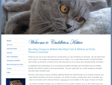 Tablet Screenshot of cuddleton.com